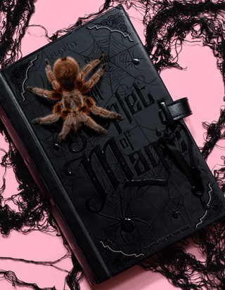 P. Louise A Droplet Of Magic Halloween Eyeshadow Palette