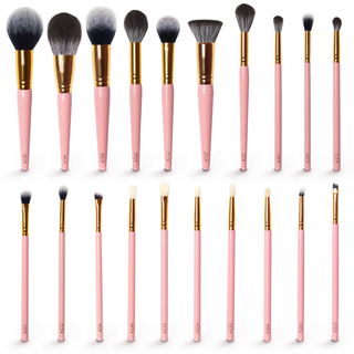 P. Louise 20 Piece Makeup Brush Bundle